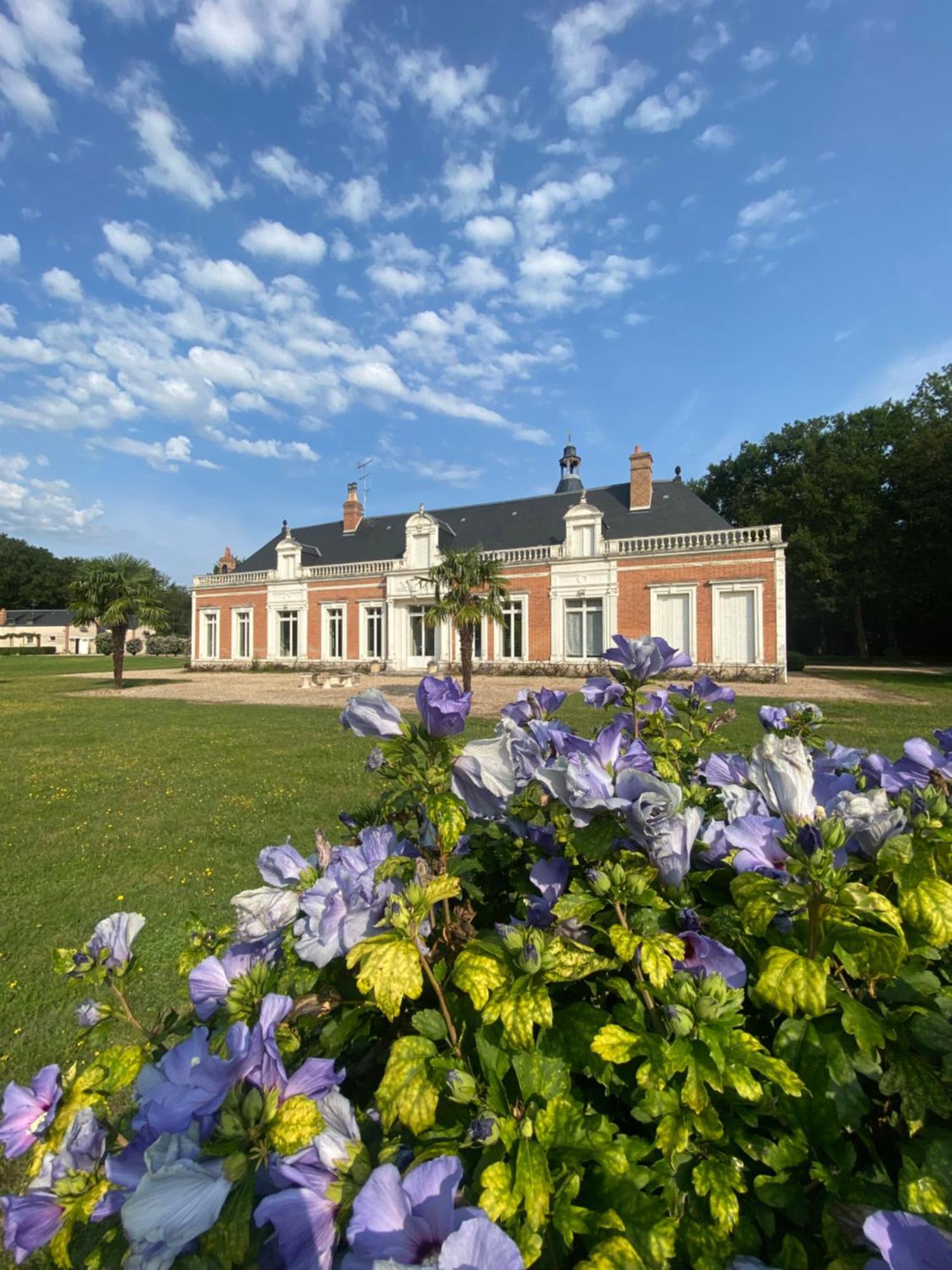 Domaine De Charme - Les Places Lassay-sur-Croisne 外观 照片